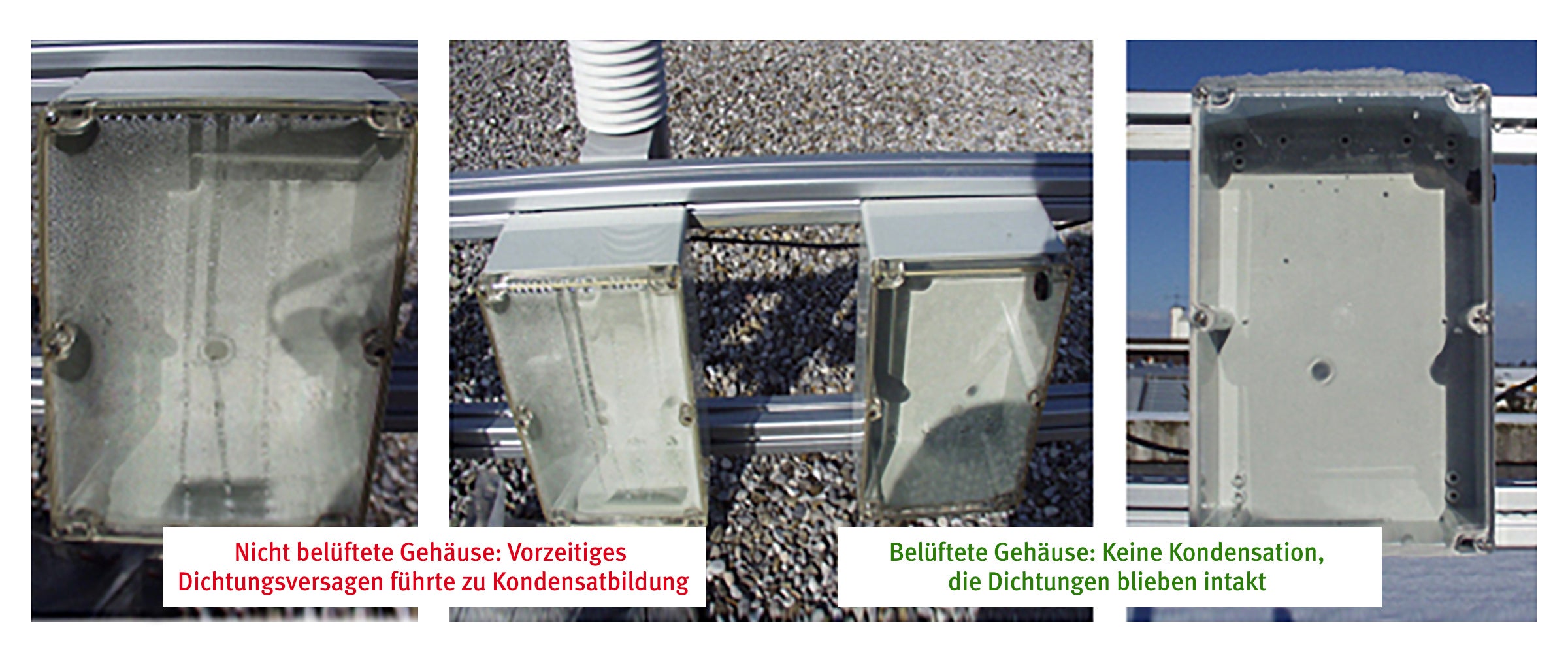 Fünfjahresstudie: Versagen vs Intaktbleiben