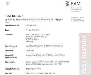 BAM Report