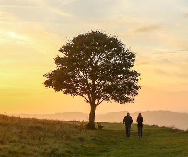 Bild eines Baums bei Sonnenuntergang, zwei Menschen gehen vorbei.