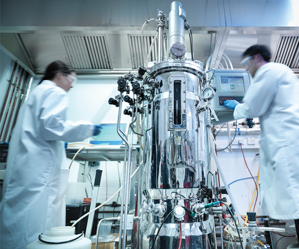 In der pharmazeutischen und biopharmazeutischen Verarbeitung verwendeter Bioreaktor