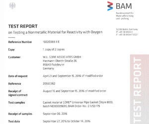 BAM Report