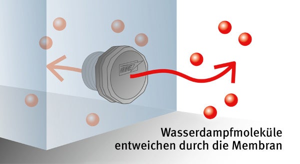 Wasserdampfmoleküle entweichen durch die Membran